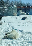 Zoológico del parque Assiniboine