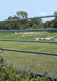 Assiniboine Park Zoo