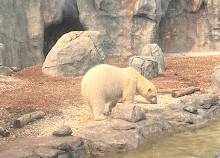 Zoo du parc Assiniboine