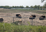 Assiniboine Park Zoo