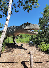 Zoo du parc Assiniboine