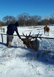 Zoo du parc Assiniboine