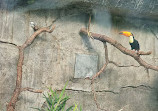 Зоопарк Ассинибоайн Парк