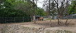 Зоопарк Ассинибоайн Парк