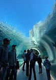 Zoo du parc Assiniboine