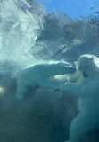 Zoo du parc Assiniboine