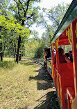 Assiniboine Park - Steam Train