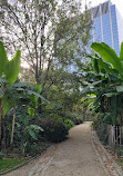 Botanical Garden