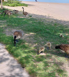 Budapest Park