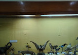 Ethnological Museum