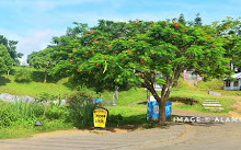 Sajek Valley