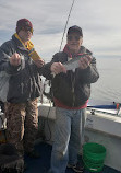 Angler Management Duluth Charters