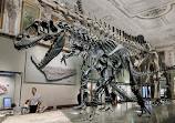 Museum of Natural History Vienna