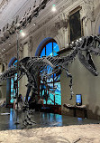 Naturhistorisches Museum