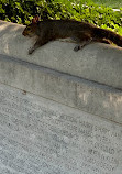 National Law Enforcement Officers Memorial