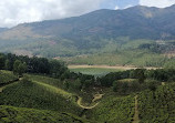 Munnar Tour Guide