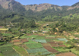 Munnar Tour Guide