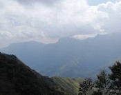 Munnar Tour Guide