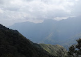 Munnar Tour Guide