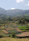 Munnar Tour Guide