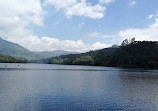 Munnar Tour Guide