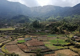 Munnar Tour Guide