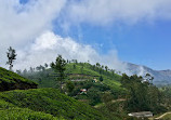 Munnar Tour Guide