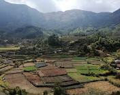 Munnar Tour Guide