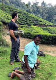 Munnar Tour Guide