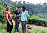 Munnar Tour Guide