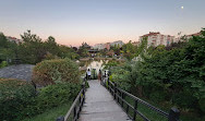 Kyoto Japanese Park