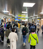 Kyoto Station