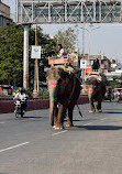 Jaipur Taxi Tour - Sightseeing Tours & Taxi Service