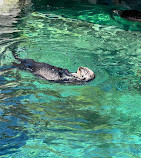 Vancouver Aquarium