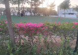 Al Wahah Park