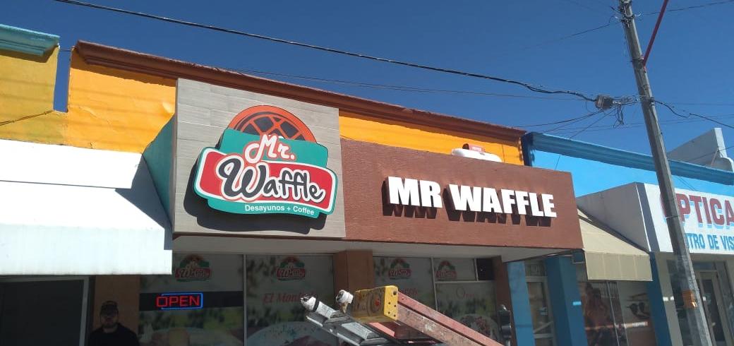 Mr Waffle Delicias