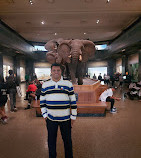 Museu Americano de História Natural