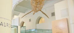 المتحف الأمريكي للتاريخ الطبيعي