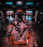 Amerikanisches Museum für Naturgeschichte