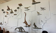 Museo Americano de Historia Natural