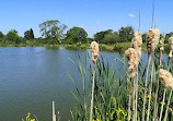 Coppice Lane Fishery