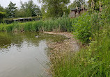 Coppice Lane Fishery