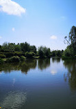 Coppice Lane Fishery