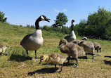 Coppice Lane Fishery