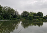 Coppice Lane Fishery