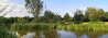 Coppice Lane Fishery