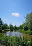 Coppice Lane Fishery