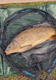 Chorley Springs Fisheries