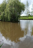 Chorley Springs Fisheries