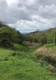 Waseley Hills Country Park